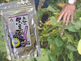 ●田中農場　黒豆茶80g\643